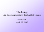 The Lung: An Environmentally Embattled Organ