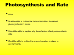 Biology - Photosynthesis Rate