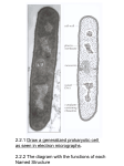 include - LHSIBBiology