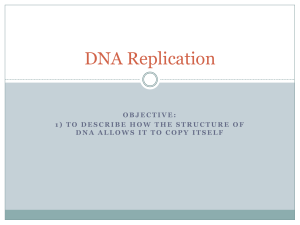 objective: 1) to describe how the structure of dna allows it to copy itself