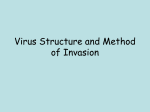 Virus Structure and Method of Invasion