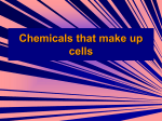 Ch 1 - Composition of cells
