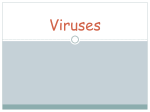 Viruses - Mrs. Simmons` Biology