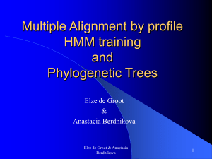 phylogenetic tree
