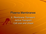 Plasma Membranes - cellsinactionEDF4402