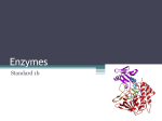 Enzymes09