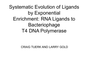 RNA Ligands to Bacteriophage T4 DNA Polymerase