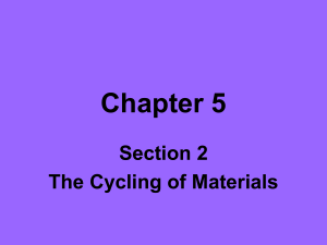Chapter 5 - CMenvironmental