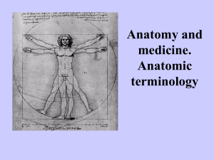 01 Anatomy and medicine Anatomic terminoogy
