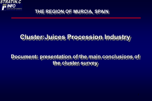 The Region of Murcia: Juices Procession Industry