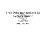 Brain Damage: Algorithms for Network Pruning