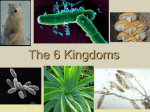 General Characteristics of the Six Kingdoms