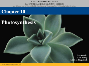 AP Biology Photosynthesis Guided Notes