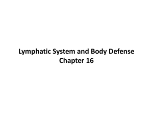 Lymphatic Vessels