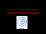 organic molecules of the cell