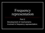 PowerPoint Presentation - Frequency representation