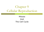 Chapter 9 Cell Division