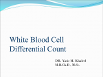 White Blood Cell Differential Count