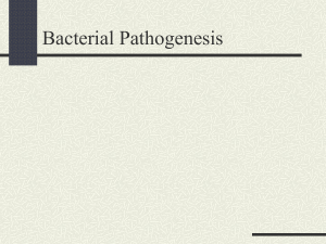 Chpater 6 Pathogenesis of bacteria