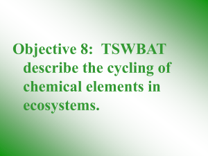 Objective 8: TSWBAT describe the cycling of