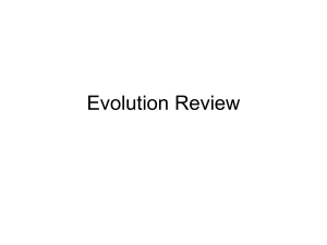 Evolution and Classification Review