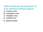 Triple vaccine for the prevention of virus infections protects against A