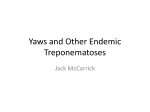 Yaws and other endemic treponematoses