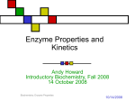 Enzyme Properties