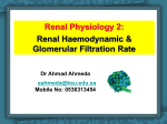 Glomerular Filtration