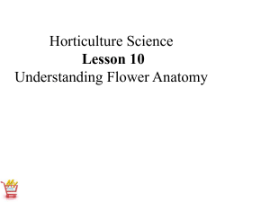 Horticulture Science Lesson 10 Understanding Flower Anatomy