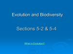 Ch 5 Evolution _ Biodiversity Notes