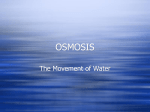 osmosis - mrskassam.com