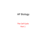 Cell Cycle part 1 - Fort Thomas Independent Schools