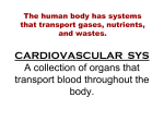 CARDIOVASCULAR SYS A collection of organs that transport blood