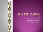 12.2 DNA Replication ppt