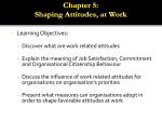 Chapter 5: Shaping Attitudes at Work