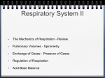 Respiratory System II