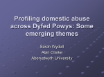 Dyfed Powys Domestic Violence Profiling Project