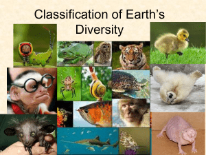 Classification of Earth`s Diversity - OG