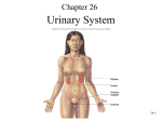 Chapter 26 - Anatomy Freaks