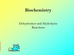 Hydrolysis and Dehydration