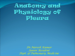 Anatomy and Physiology of Pleura