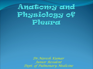Anatomy and Physiology of Pleura