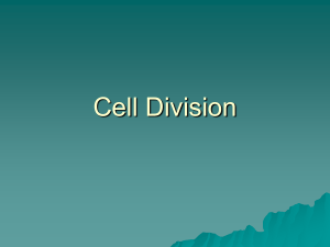 Cell Division - WEXFORDSNC2P