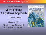 File - Microbiology