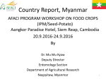 Rice Plant Hopper outbreak in Myanmar