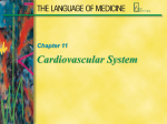 Cardiovascular System notes File