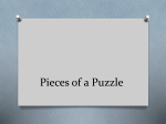 Pieces of a Puzzle