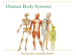 Human Body Systems - walker2015