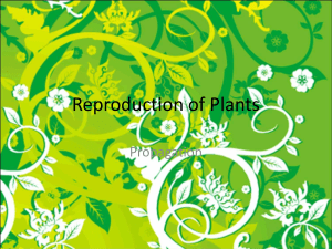 Reproduction of Plants
